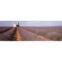 Панорамни изображения Lavender Field Valensole Province France Poster Print от панорамни изображения - 12