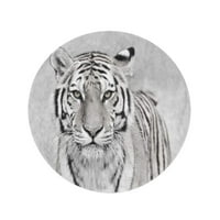 Кръгла плажна кърпа одеяло бяло амур тигър пантер тигри алтаика лице черен кръг за пътуване кръг кръг кърпи мат гоблен плаж хвърляне