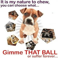 Danlai- Pet Dog Teetthing Toy Ball, кучета за почистване на зъби, интерактивна играчка за кучета за средни породи кучета