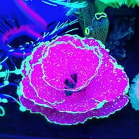 Betterz аквариум изкуствени коралови растения орнаменти за озеленяване на рибки за озеленяване