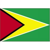 ft. ft. nyl-glo guyana flag