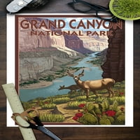 Национален парк Гранд Каньон, Аризона, сцена на елени