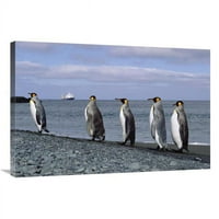 в. Група на крал Пингвин на Rocky Shoreline, Art Print на остров Macquarie - Konrad Wothe